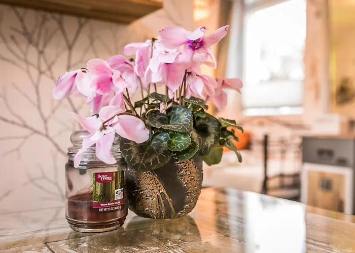 Siri Apartment Burgstadt